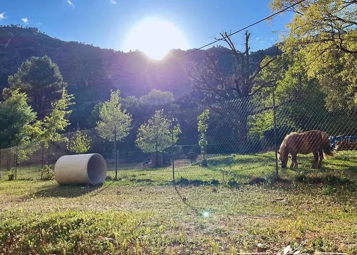 El Rincon De Elena