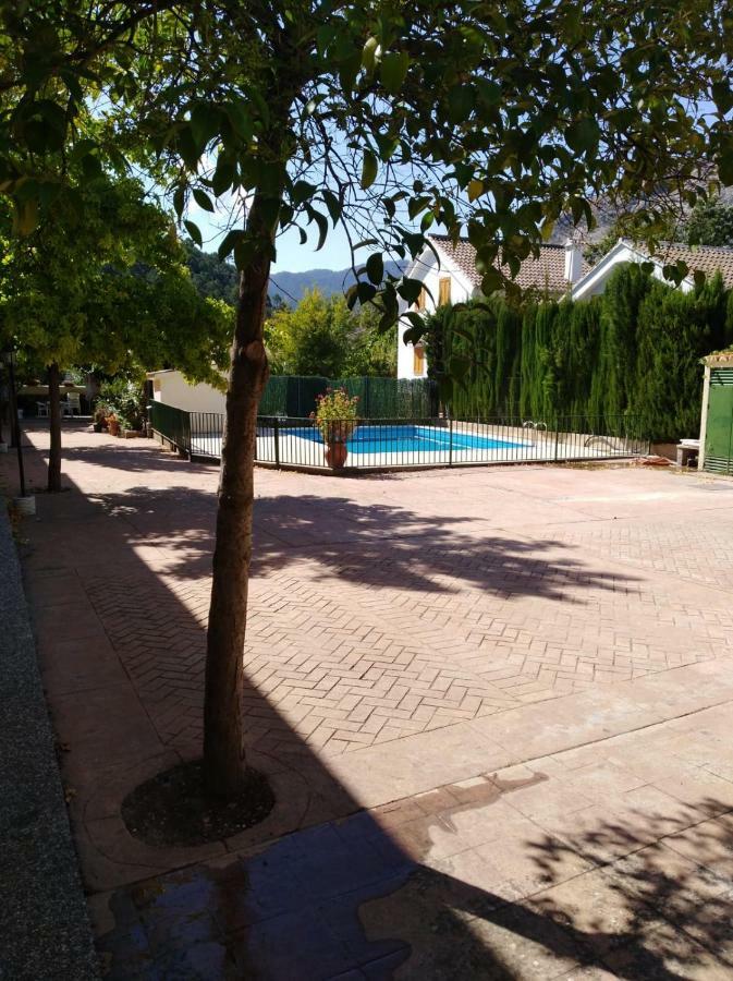 El Rincon De Elena